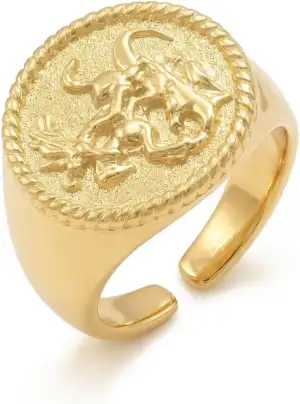 Heideman Ringe Herren aus Edelstahl silber oder gold farbend poliert Siegelring 