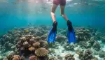 Perfekt gleiten im Wasser: Warum die Cressi Palau Verstellbaren Flossen Ihr Schnorchel-Erlebnis verändern