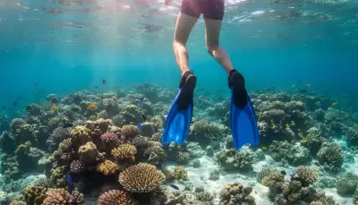 Perfekt gleiten im Wasser: Warum die Cressi Palau Verstellbaren Flossen Ihr Schnorchel-Erlebnis verändern